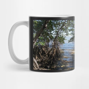 Water in Mangrove Clearing Mug